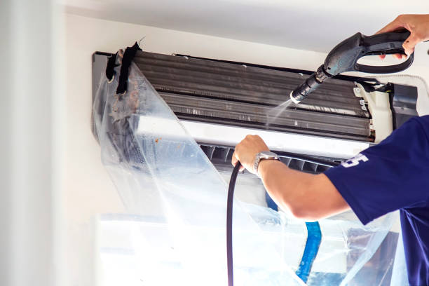 Best Air Vent Cleaning Services  in Spring Grove, IL